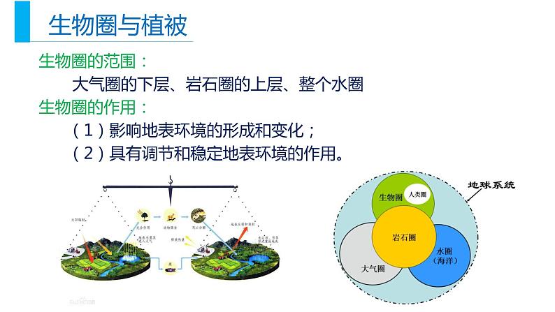 5.1植被（课件）04