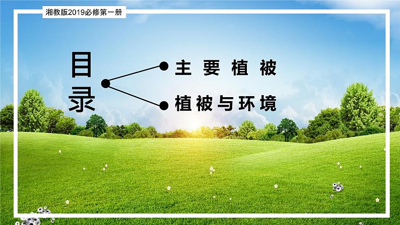 5.1 主要植被与自然环境（精品课件）-2022-2023学年高一地理上册同步备课系列（湘教版2019必修第一册）03