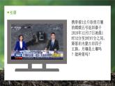 5.2 土壤的形成（精品课件）-2022-2023学年高一地理上册同步备课系列（湘教版2019必修第一册）