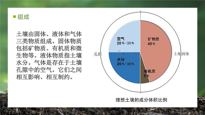 5.2 土壤的形成（精品课件）-2022-2023学年高一地理上册同步备课系列（湘教版2019必修第一册）07