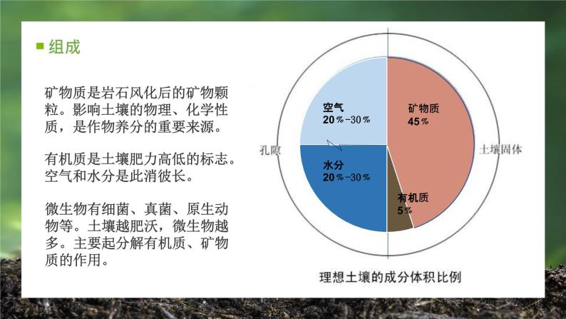 5.2 土壤的形成（精品课件）-2022-2023学年高一地理上册同步备课系列（湘教版2019必修第一册）08