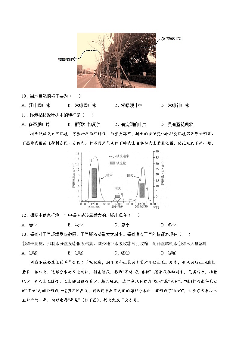 5.1 主要植被与自然环境（课时作业）-2022-2023学年高一地理上册同步备课系列（湘教版2019必修第一册）（原卷版）第3页
