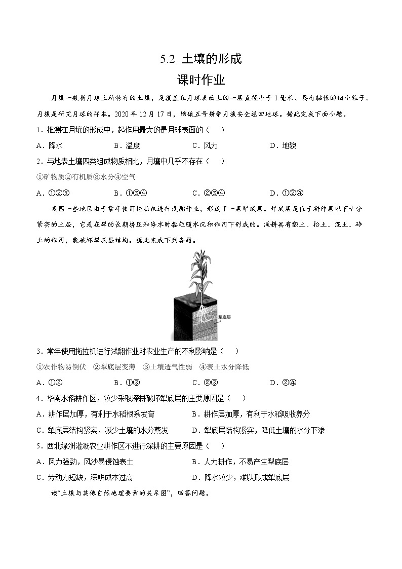 5.2 土壤的形成（课时作业）-2022-2023学年高一地理上册同步备课系列（湘教版2019必修第一册）01