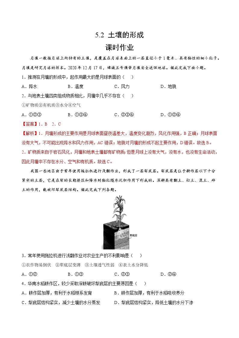 5.2 土壤的形成（课时作业）-2022-2023学年高一地理上册同步备课系列（湘教版2019必修第一册）01