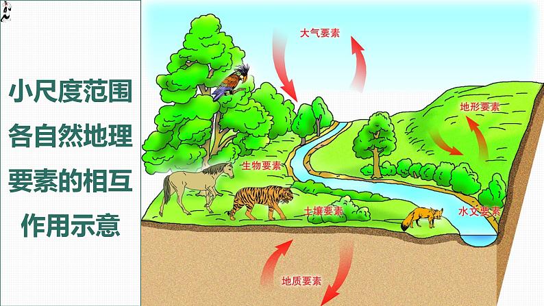 5.1 自然环境的整体性（精品课件）-2022-2023学年高二地理上学期湘教版(2019)选择性必修108