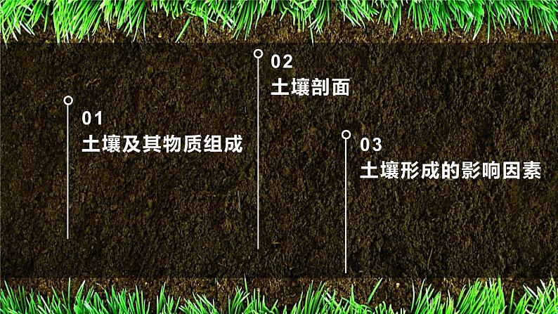 2.6土壤的主要形成因素（精品课件）-2022-2023学年高一地理同步备课系列（中图版2019必修第一册）03