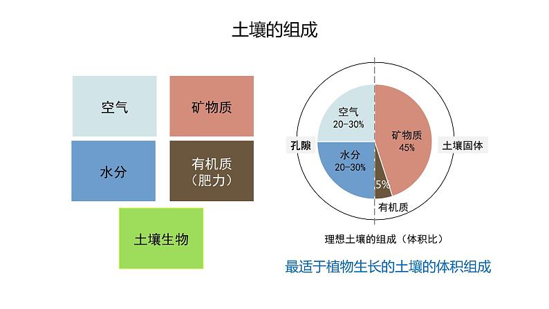 2.6土壤的主要形成因素（精品课件）-2022-2023学年高一地理同步备课系列（中图版2019必修第一册）07