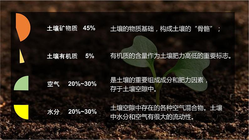 2.6土壤的主要形成因素（精品课件）-2022-2023学年高一地理同步备课系列（中图版2019必修第一册）08