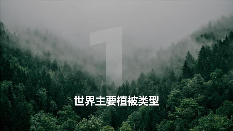 2.7植被与自然地理环境的关系（精品课件）-2022-2023学年高一地理同步备课系列（中图版2019必修第一册）07