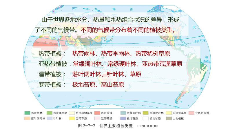 2.7植被与自然地理环境的关系（精品课件）-2022-2023学年高一地理同步备课系列（中图版2019必修第一册）08