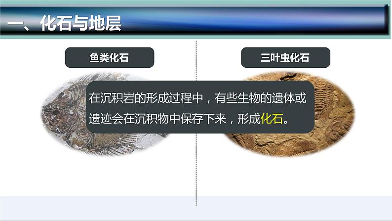 1.3  地球的历史-2022-2023学年高一地理上学期同步课堂备课课件（人教版2019必修第一册）06