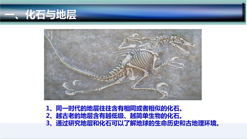 1.3  地球的历史-2022-2023学年高一地理上学期同步课堂备课课件（人教版2019必修第一册）07