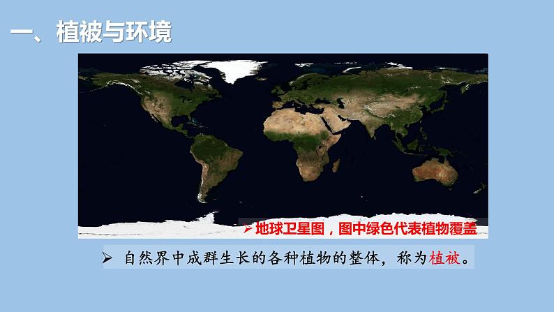 5.1  植被-2022-2023学年高一地理上学期同步课堂备课课件（人教版2019必修第一册）05