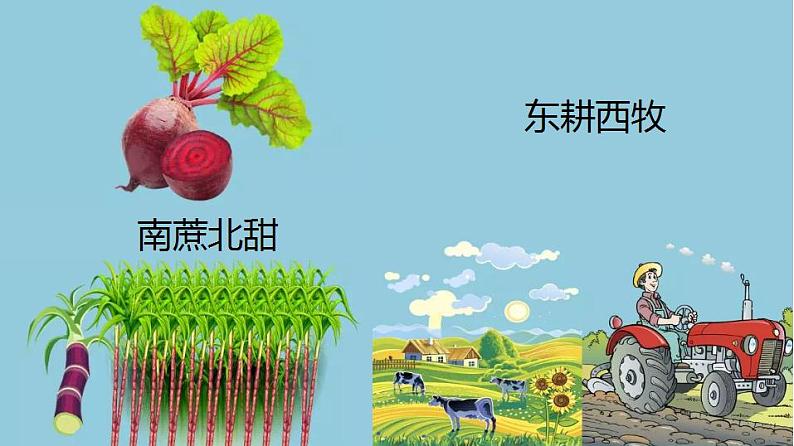 3.1农业的区位选择（课件）-2022-2023学年高一地理同步备课系列（人教版必修2）02