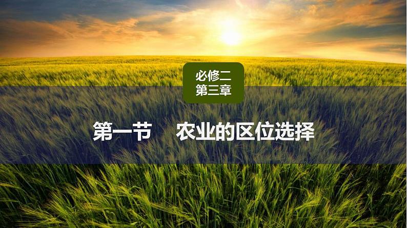 3.1农业的区位选择（课件）-2022-2023学年高一地理同步备课系列（人教版必修2）05