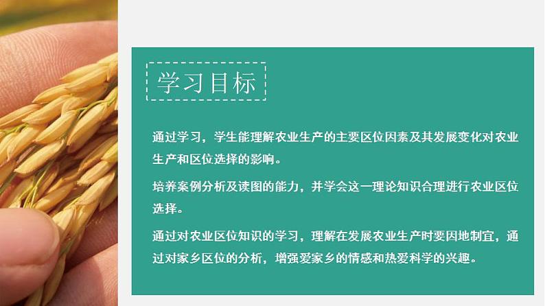 3.1农业的区位选择（课件）-2022-2023学年高一地理同步备课系列（人教版必修2）06