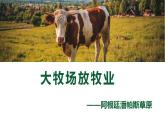 3.3以畜牧业为主的农业地域类型（课件）-2022-2023学年高一地理同步备课系列（人教版必修2）
