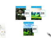【新教材精创】4.1 常见地貌类型课件（2）-人教版高中地理必修第一册(共25张PPT)