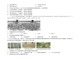 第05章 植被与土壤（A卷基础篇）原卷版