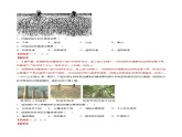 第05章 植被与土壤（A卷基础篇）解析版