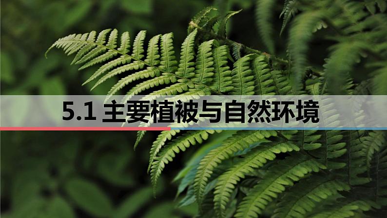 5.1 主要植被与自然环境 课件-2022-2023学年湘教版（2019）高中地理必修第一册01