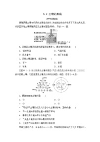 高中地理湘教版 (2019)必修 第一册第二节 土壤的形成优秀一课一练