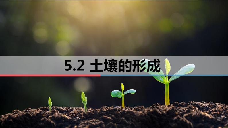 5.2 土壤的形成 课件-2022-2023学年湘教版（2019）高中地理必修第一册01