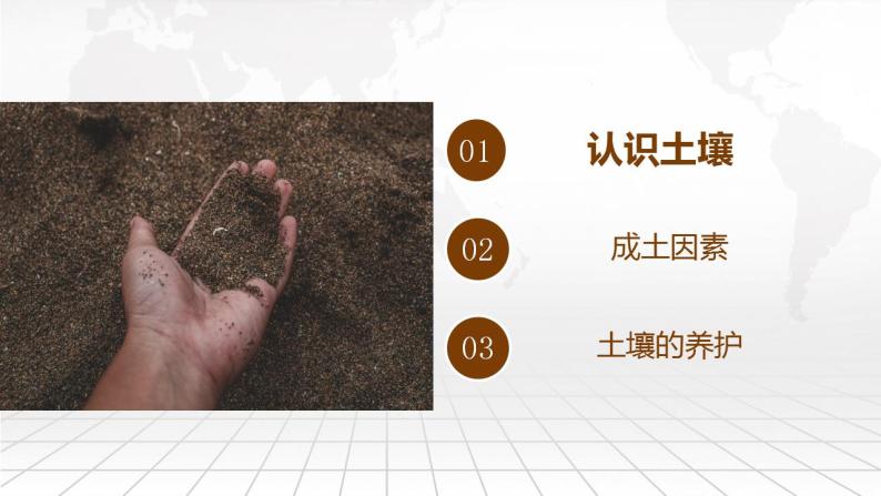 5.2 土壤的形成 课件-2022-2023学年湘教版（2019）高中地理必修第一册04
