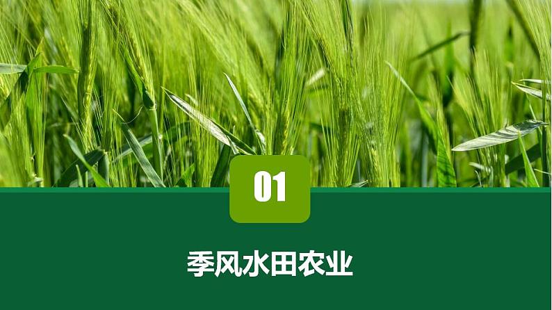 3.2以种植业为主的农业地域类型（课件）-2022-2023学年高一地理同步备课系列（人教版必修2）08