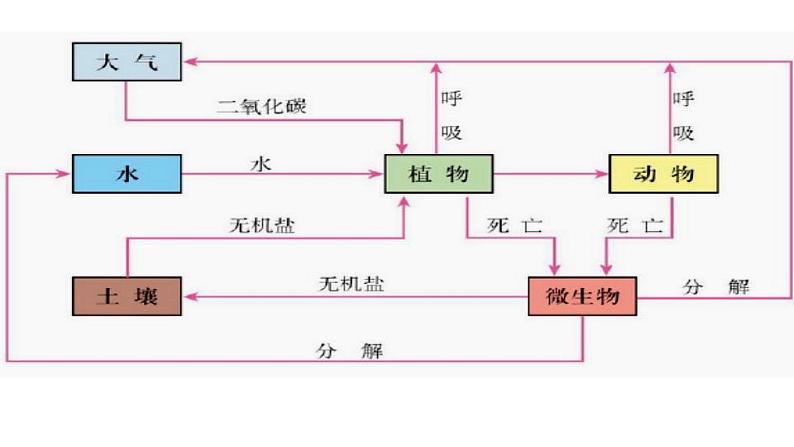 5.1 自然地理环境的整体性（课件）-2022-2023学年高二同步备课系列（人教版2019选择性必修1）08