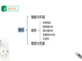 人教版高中地理必修一 5.1 植被 课件