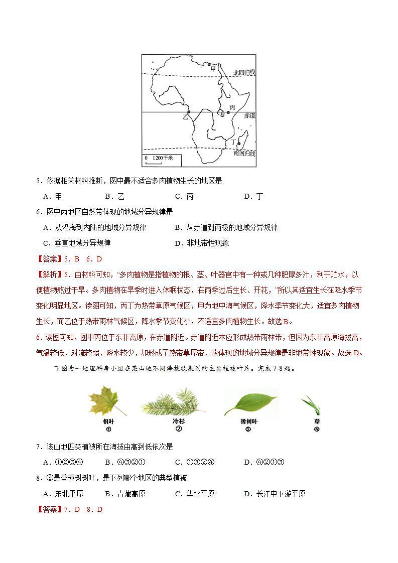 第五章 植被与土壤（基础过关）-2020-2021学年高一地理单元测试定心卷（新教材人教版必修1）（解析版）03