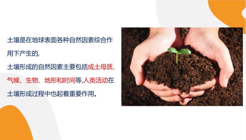 配套新教材高中地理湘教版必修第一册 5.2《土壤的形成》课件PPT07