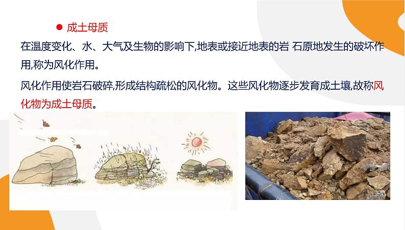 配套新教材高中地理湘教版必修第一册 5.2《土壤的形成》课件PPT08