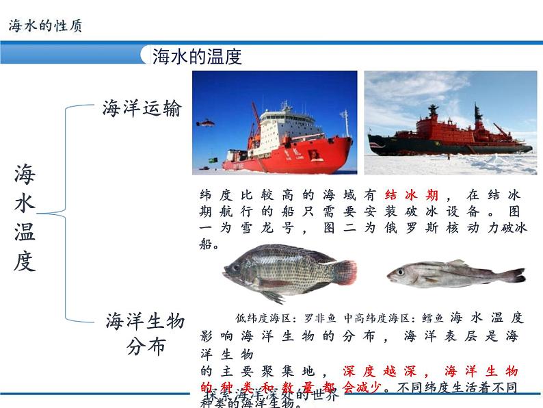 高中地理必修一 《第二节 海水的性质》名校名师课件第4页