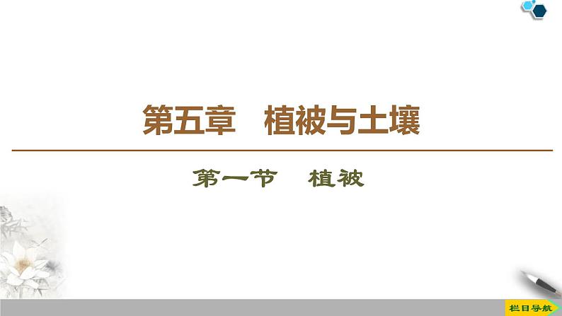 高中地理必修一 《第一节 植被》优质教学课件第1页