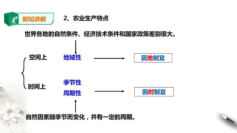 高中地理必修二 3.1农业区位因素及其变化 课件04