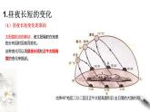 高中地理选择性必修一 1.2 地球运动的地理意义（第2课时） 课件