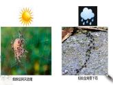 高中地理选择性必修一 3.1常见天气系统课件