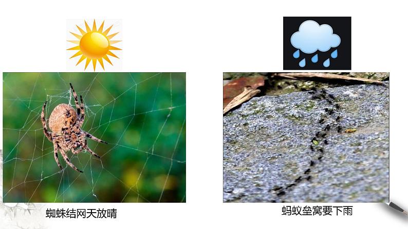 高中地理选择性必修一 3.1常见天气系统课件04