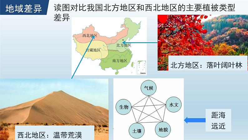 高中地理选择性必修一 5.2自然环境的地域差异性（第一课时） 课件（内含视频）第5页