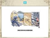 人教版（2019）高中地理必修一  1.3地球的历史课件