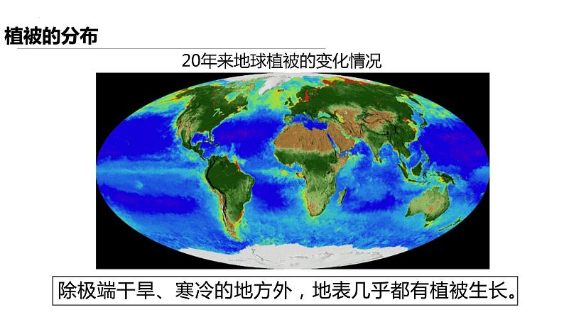 人教版（2019）高中地理必修一  5.1植被 课件第8页