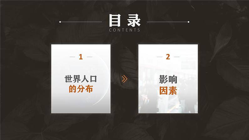 1.1人口分布-高一地理课件（人教版2019必修第二册）第3页