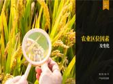 3.1 农业区位因素及其变化（课时1）-高一地理课件（人教版2019必修第二册）