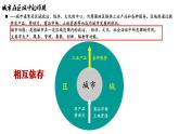 3.1城市的輻射功能課件-高中地理人教版（2019）選擇性必修2