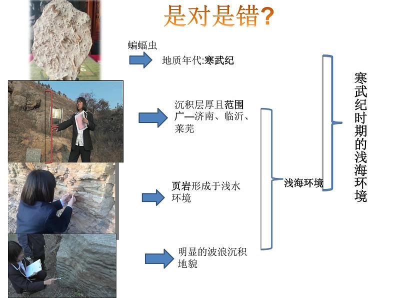 地球的演化过程第6页