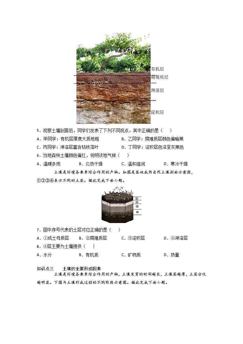 5.2 土壤 -2022-2023学年高一地理过关提优分层练（人教版2019必修第一册）02