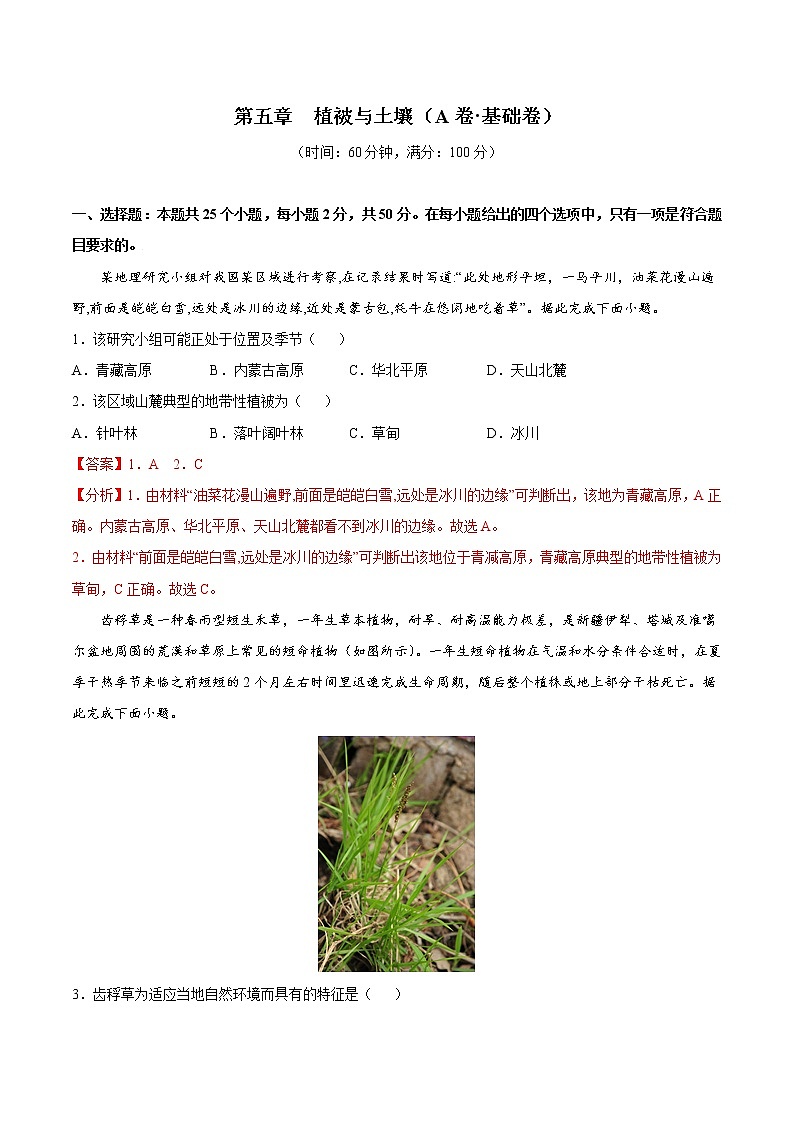 第5章  植被与土壤（基础卷）-2024-2025学年高一地理上学期同步课堂单元双测卷（人教版2019必修第一册）01