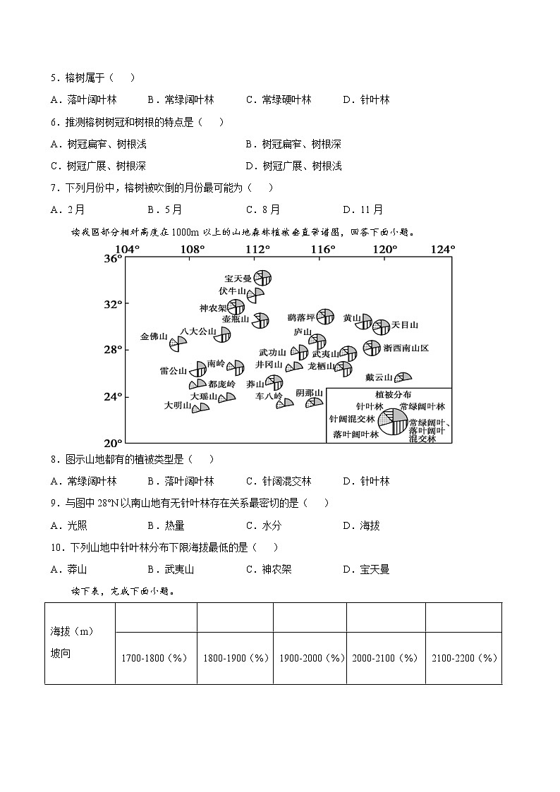 第5章  植被与土壤（基础卷）-2024-2025学年高一地理上学期同步课堂单元双测卷（人教版2019必修第一册）02